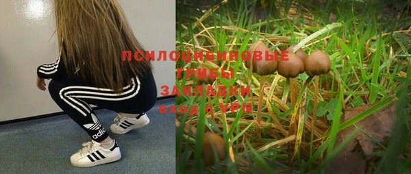 СК Богданович