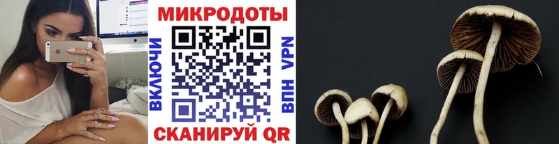 Псилоцибиновые грибы MAGIC MUSHROOMS  как найти закладки  Бирюсинск 